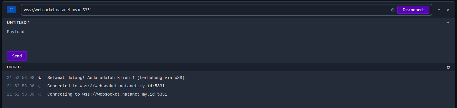 Tutorial Websocket dengan Node.js di cPanel